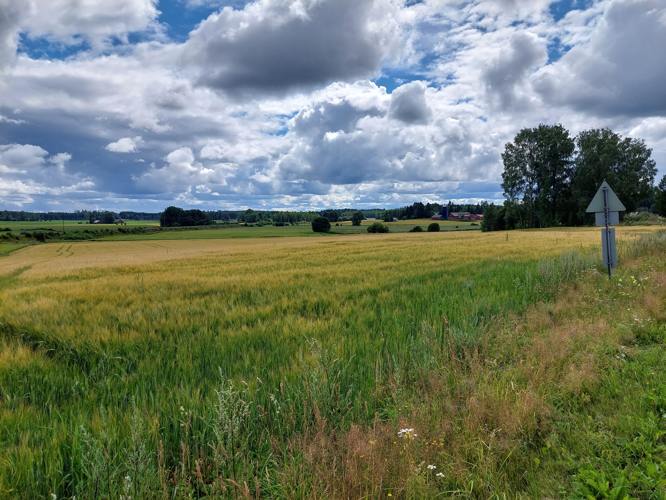 Tervetuloa Hannun kotisivulle